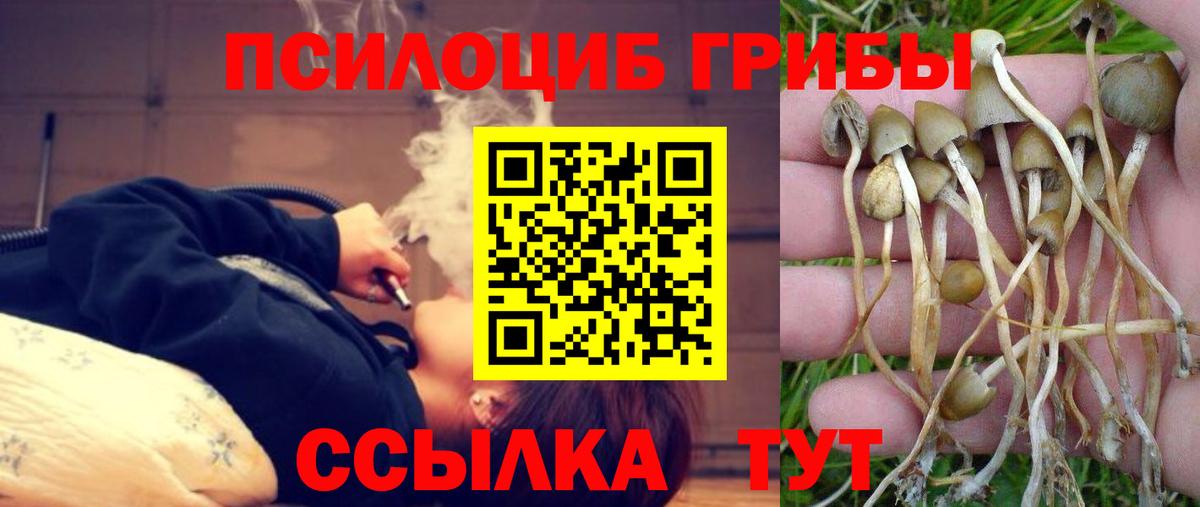 Галлюциногенные грибы мицелий  Галлюциногенные грибы ЛСД  Вход с VPN  Корсаков 